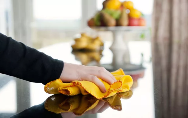 Boise, Meridian, Eagle, and Nampa top professional cleaning service, standard clean option.